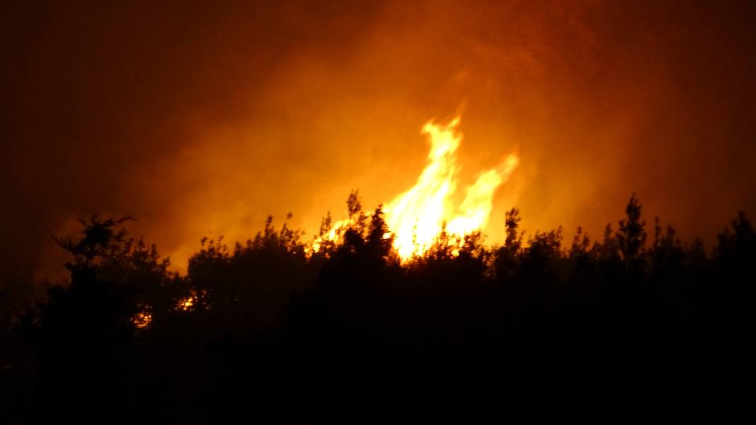 Çanakkale'deki Tarihi Alan'ın güney hattı ziyarete açıldı! Orman yangınında kapatılmıştı 39